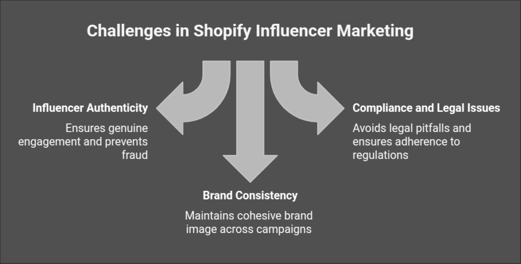 Challenges in Shopify Influencer Marketing